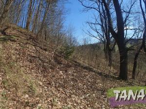 Prodej chalupy, Slaná, 100 m2