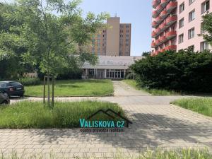 Pronájem obchodního prostoru, Kroměříž, Oskol, 1965 m2