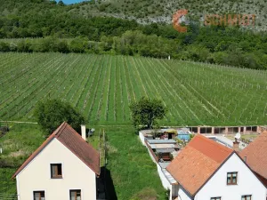 Prodej pozemku pro bydlení, Pavlov, Vinařská, 247 m2