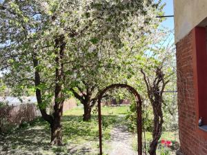 Prodej rodinného domu, Krnov - Pod Bezručovým vrchem, Albrechtická, 180 m2