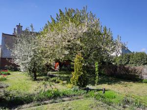Prodej rodinného domu, Krnov - Pod Bezručovým vrchem, Albrechtická, 180 m2