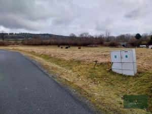 Prodej pozemku pro bydlení, Pocinovice, 1000 m2