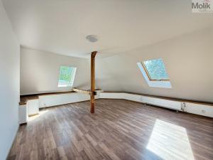 Pronájem bytu 4+1, Osek, Obránců míru, 159 m2