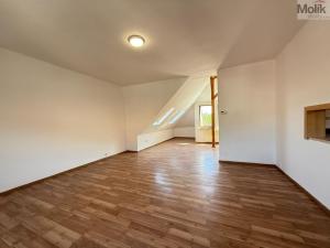 Pronájem bytu 4+1, Osek, Obránců míru, 159 m2