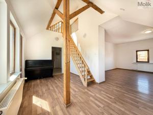 Pronájem bytu 4+1, Osek, Obránců míru, 159 m2