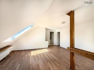 Pronájem bytu 4+1, Osek, Obránců míru, 159 m2