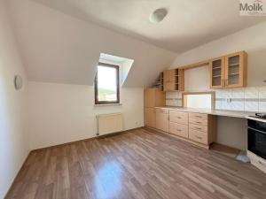 Pronájem bytu 4+1, Osek, Obránců míru, 159 m2