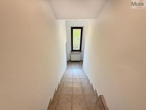 Pronájem bytu 4+1, Osek, Obránců míru, 159 m2