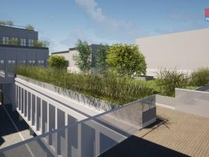 Pronájem obchodního prostoru, Opava - Město, Masarykova třída, 160 m2