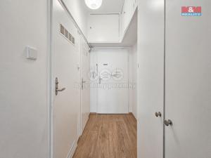 Pronájem bytu 1+kk, Praha - Žižkov, Hartigova, 28 m2