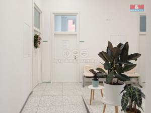Pronájem obchodního prostoru, Opava - Město, Masarykova třída, 200 m2