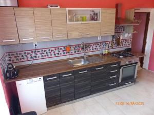 Prodej vícegeneračního domu, Holedeč, 220 m2