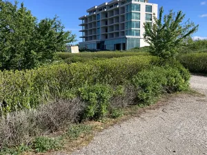 Prodej bytu 2+kk, Kavarna, Bulharsko, 101 m2