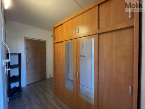 Pronájem bytu 2+kk, Most, Lidická, 40 m2