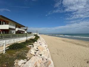 Prodej bytu 3+1, Montesilvano,Itálie, 118 m2