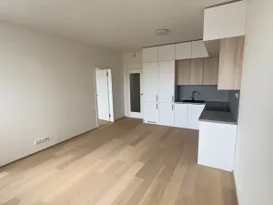 Pronájem bytu 2+kk, Praha - Hrdlořezy, V třešňovce, 57 m2