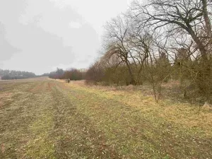Dražba pozemku, Písečné, 1097 m2
