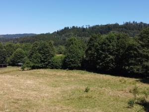 Prodej pozemku pro bydlení, Olešnice v Orlických horách, 3027 m2