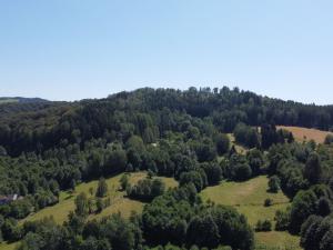 Prodej pozemku pro bydlení, Olešnice v Orlických horách, 2065 m2