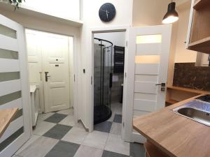 Pronájem bytu 1+kk, Praha - Vinohrady, Slezská, 38 m2