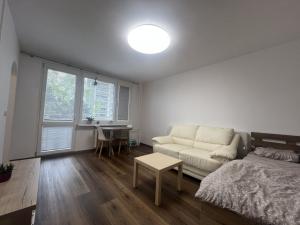 Pronájem bytu 1+kk, Hradec Králové - Pražské Předměstí, Baarova, 32 m2