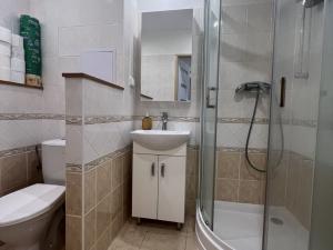 Pronájem bytu 1+kk, Hradec Králové - Pražské Předměstí, Baarova, 32 m2