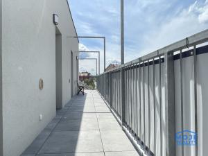 Pronájem bytu 2+kk, Plzeň - Jižní Předměstí, Kotkova, 54 m2