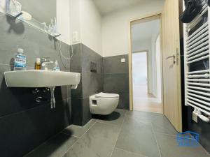 Pronájem bytu 2+kk, Plzeň - Jižní Předměstí, Kotkova, 54 m2