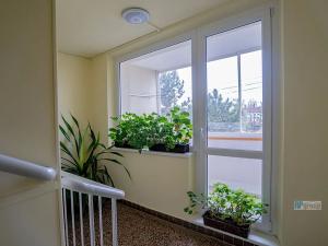 Prodej bytu 3+1, Vyškov, Tyršova, 78 m2