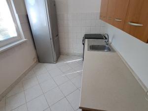 Pronájem bytu 2+1, Olomouc, Dělnická, 52 m2