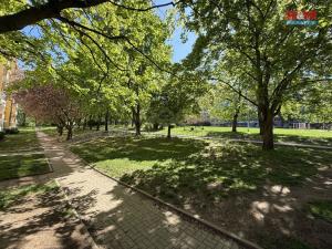 Prodej bytu 2+kk, Most, F. L. Čelakovského, 40 m2