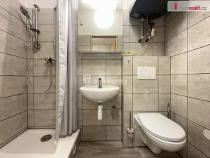 Pronájem komerční nemovitosti, Mikulov, Zámecká, 30 m2