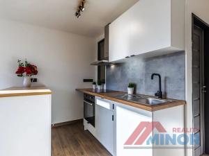 Pronájem bytu 3+kk, Slaný, Vikova, 42 m2