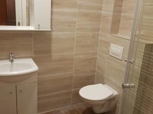 Pronájem bytu 1+kk, Hradec nad Moravicí, Gudrichova, 24 m2