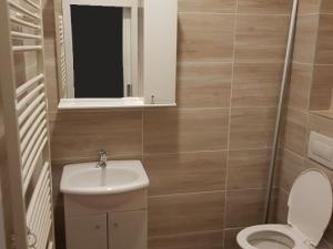 Pronájem bytu 1+kk, Hradec nad Moravicí, Gudrichova, 24 m2