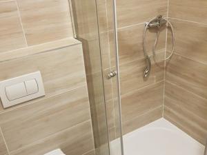 Pronájem bytu 1+kk, Hradec nad Moravicí, Gudrichova, 24 m2