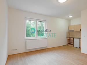 Pronájem bytu 1+kk, Otvovice, 29 m2