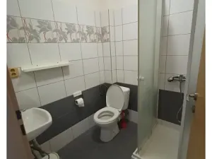 Pronájem bytu 1+kk, Čisovice, 20 m2