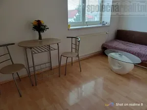 Pronájem bytu 1+kk, Holubice, U Parku, 45 m2