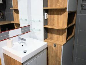 Pronájem bytu 3+kk, Plzeň, Francouzská třída, 60 m2
