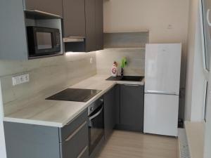 Pronájem bytu 2+kk, Olomouc, Eduarda Hamburgera, 52 m2