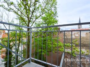 Pronájem bytu 1+1, Praha - Žižkov, Přibyslavská, 40 m2