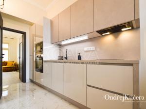 Pronájem bytu 1+1, Praha - Žižkov, Přibyslavská, 40 m2