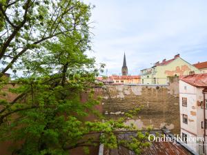 Pronájem bytu 1+1, Praha - Žižkov, Přibyslavská, 40 m2