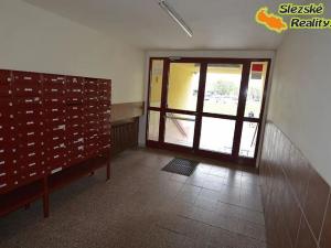 Pronájem bytu 2+1, Ostrava, Poděbradova, 58 m2