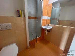 Pronájem bytu 2+kk, Hodonín, Pančava, 49 m2
