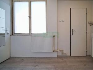 Pronájem bytu 1+1, Praha - Žižkov, Prokopova, 40 m2