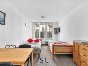 Prodej bytu 1+kk, Harrachov, 34 m2