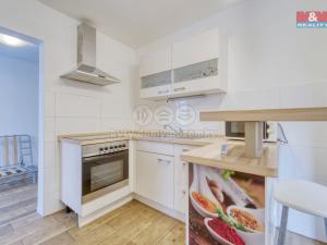 Pronájem bytu 1+kk, Bor - Kosov, 25 m2