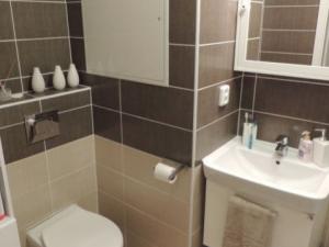 Pronájem bytu 2+1, Stříbro, Gagarinova, 53 m2